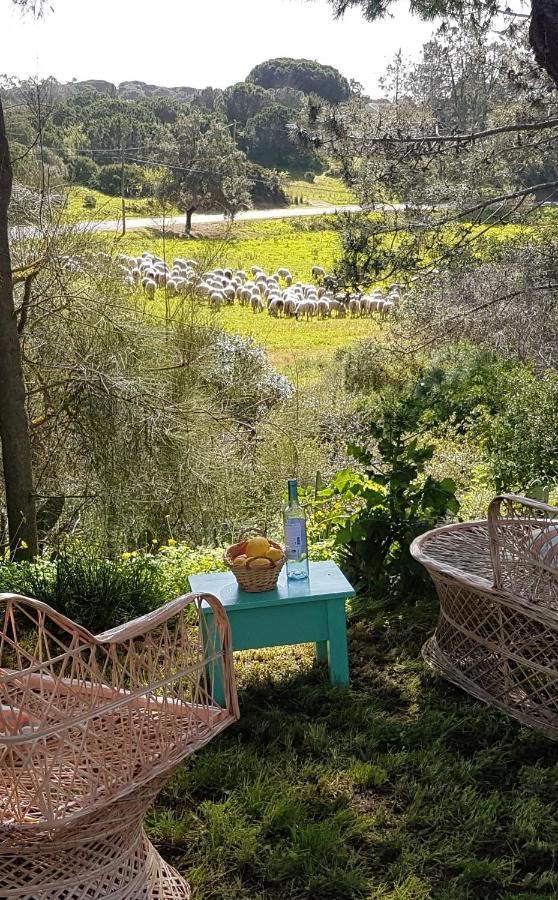 Boheme Valdareina, Piscine Chauffee, Benagil-Carvoeiro Lägenhet Carvoeiro  Exteriör bild