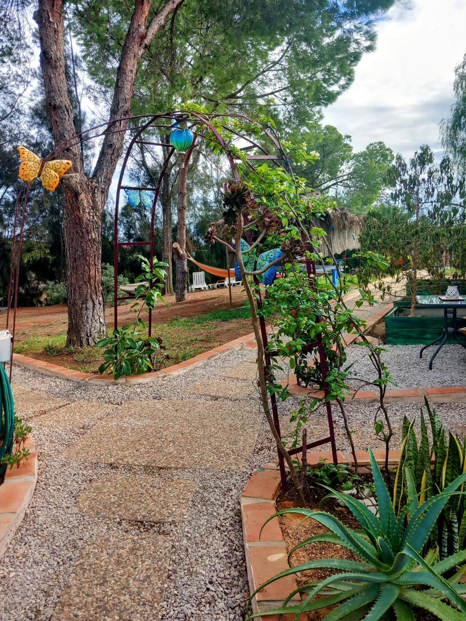 Boheme Valdareina, Piscine Chauffee, Benagil-Carvoeiro Lägenhet Carvoeiro  Exteriör bild
